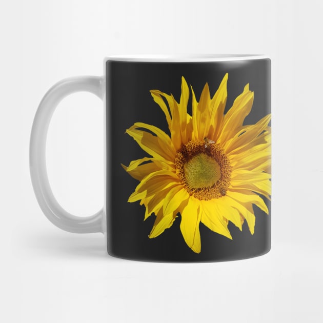 Sunflower at Magpie Springs by Avril Thomas by MagpieSprings